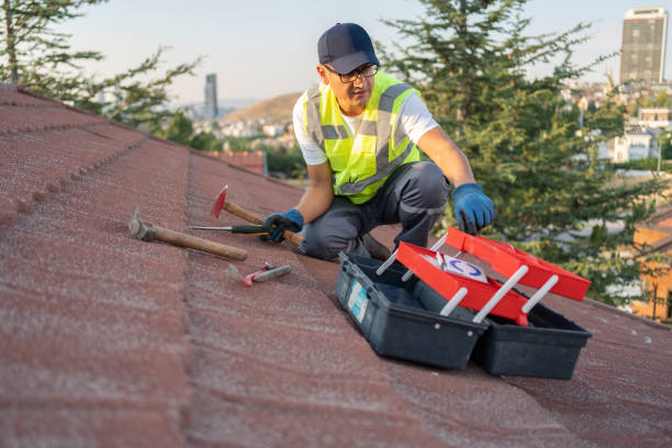 Professional Siding Installation & Repair in Jackson, WI